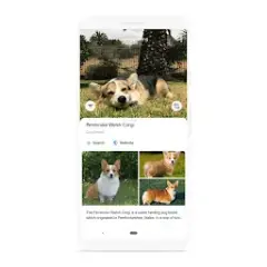 Aplikacja Obiektyw – co to jest i jak może ułatwić życie?